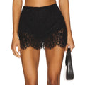 Black Lace Skirt